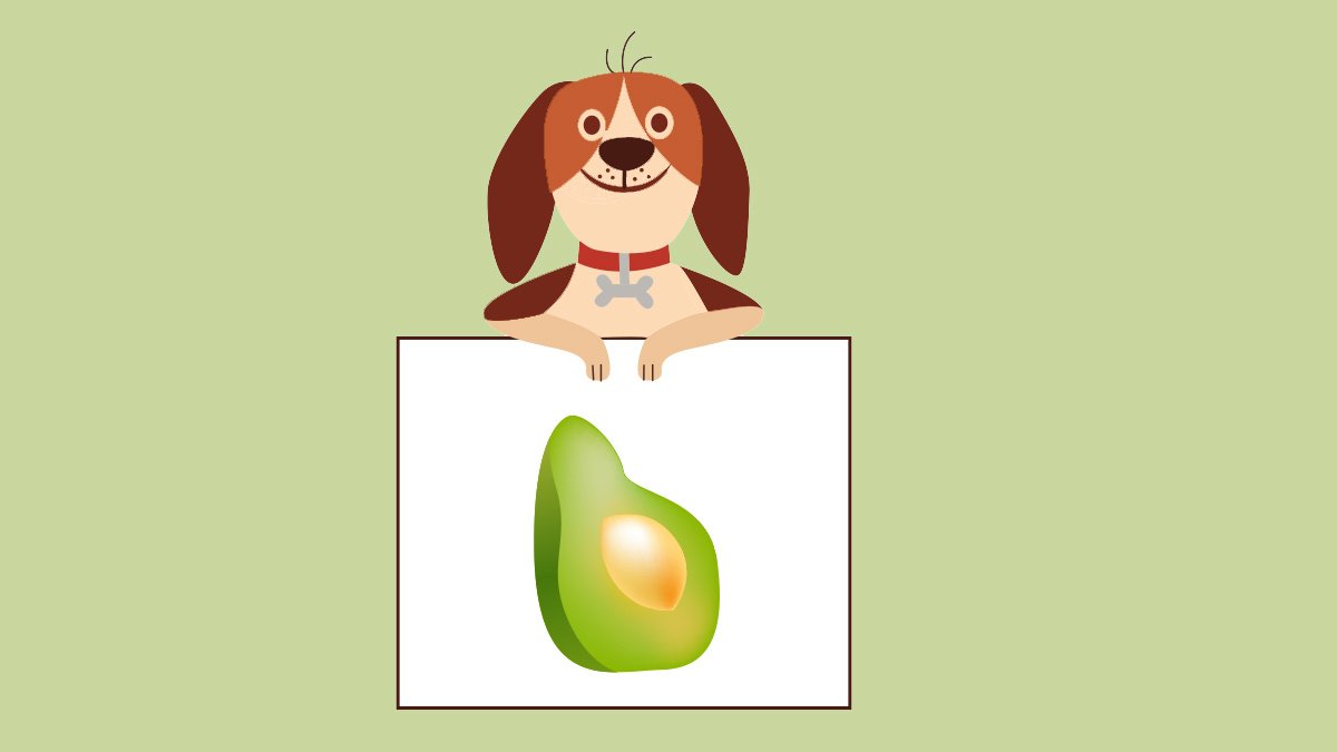 Собака и авокадо
