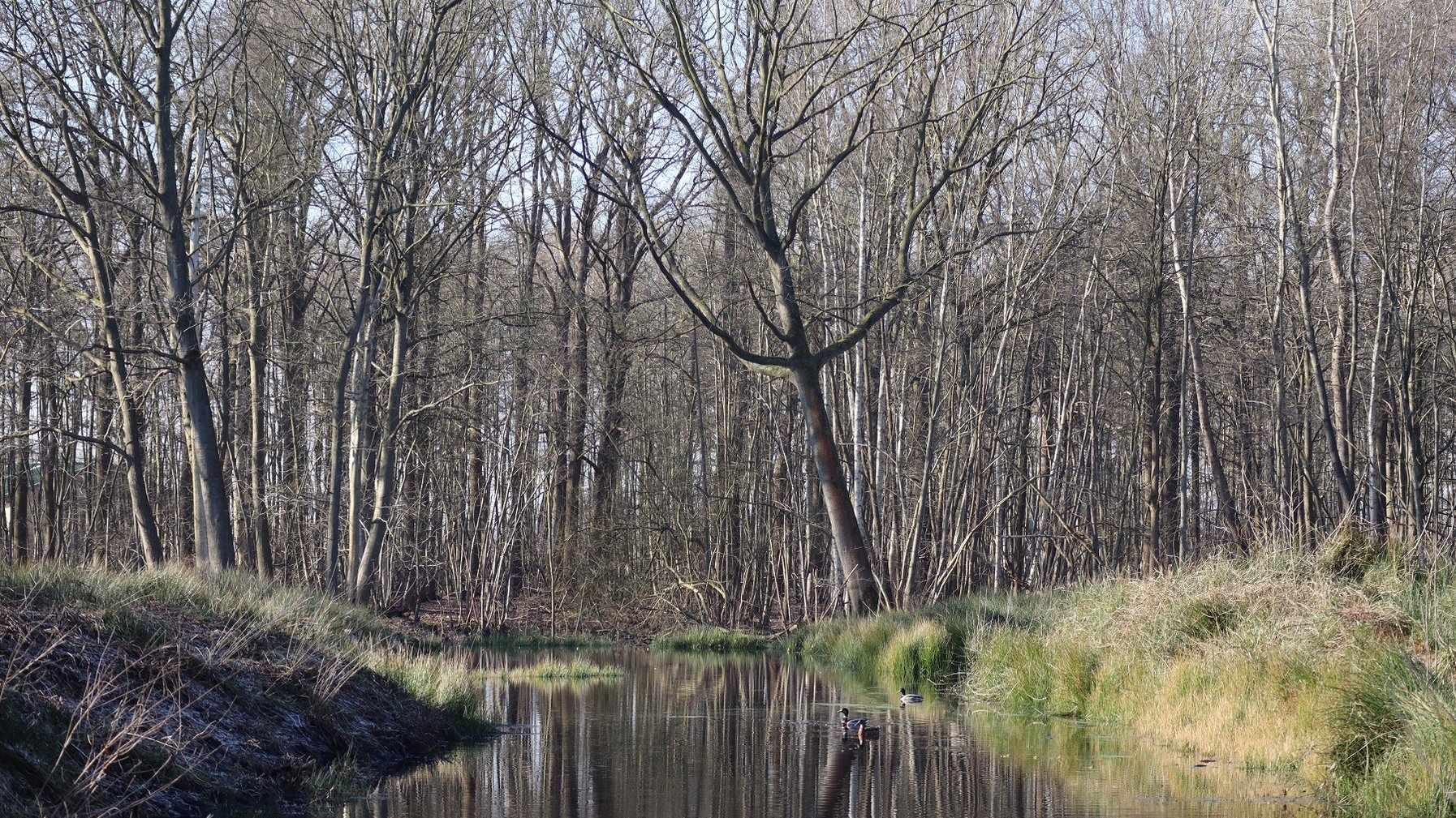 Řeka