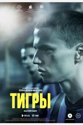 Тигры: постер