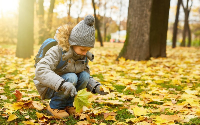 Pick up leaves. Дети собирают листья. Картинка осень дети гуляют собирают листья. Фон похода осенью.