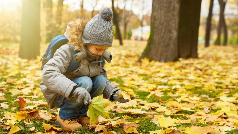 Осенний поход с детьми: 4 способа сделать его интересным
