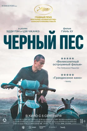 Черный пес: постер
