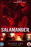 Постер Саламандра: 1 сезон