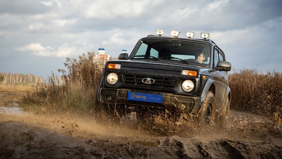 Niva Bronto Niva Bronto