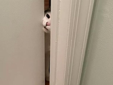 «Ты думал, что сможешь спрятаться от меня в ванной?»