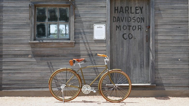 slide image for gallery: 23666 | Под маркой Harley-Davidson выпустят велосипеды