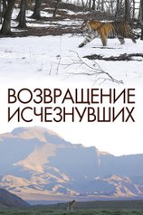 Постер сериала 'Возвращение исчезнувших'