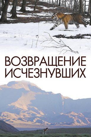 Постер сериала 'Возвращение исчезнувших'