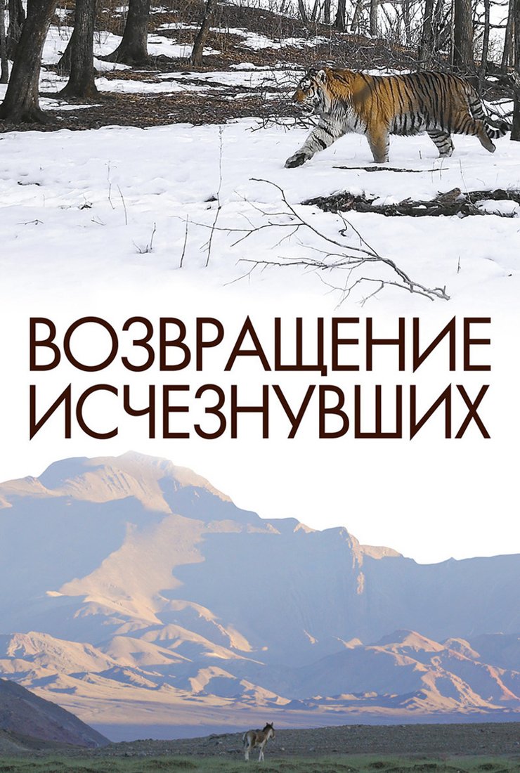 Постер сериала 'Возвращение исчезнувших'