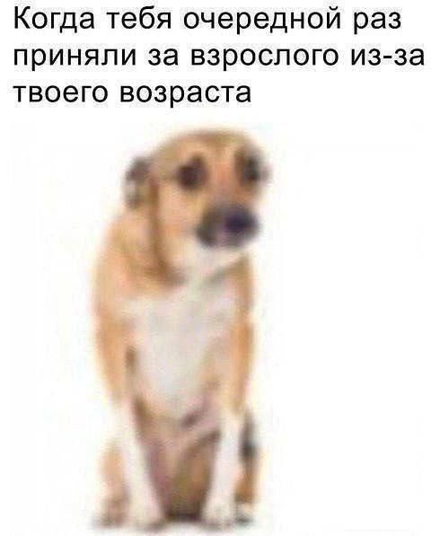 Произошло непонимание Произошло непонимание