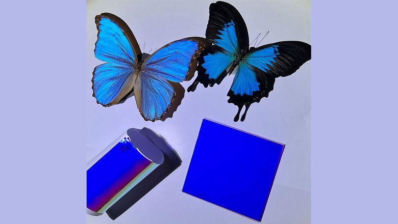 Ученые вдохновлялись крыльями бабочек при создании охлаждающего цветного покрытия. Фото: opg.optica.org