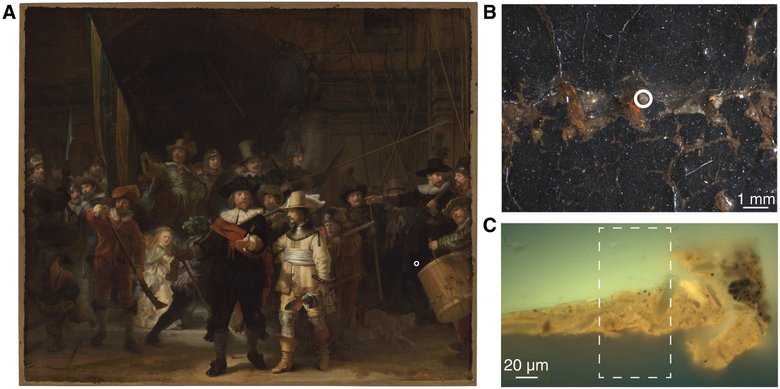 «Ночной дозор» Рембрандта с образцом краски, изученным с помощью коррелированной томографии.