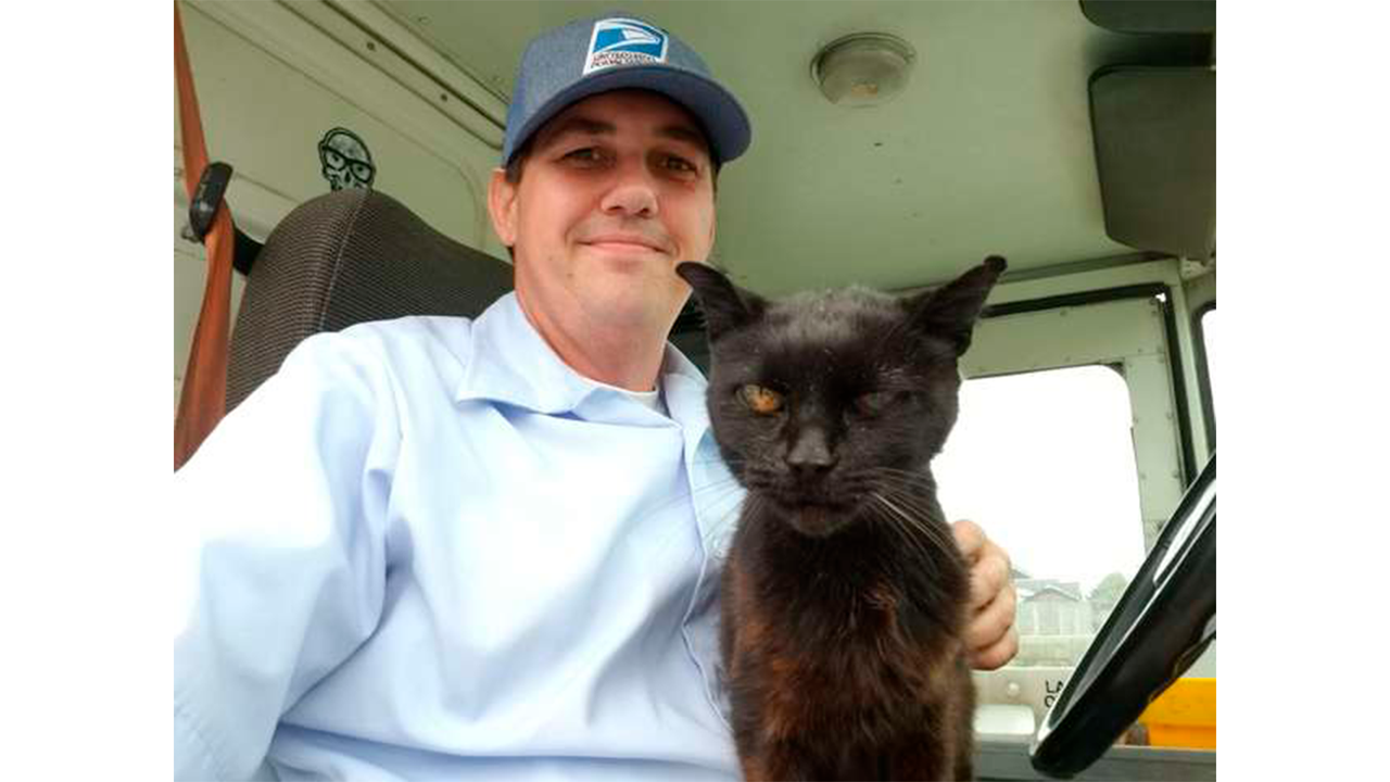 Почтальон и кошка