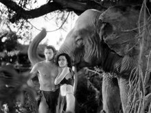 Кадр из Тарзан и его подруга