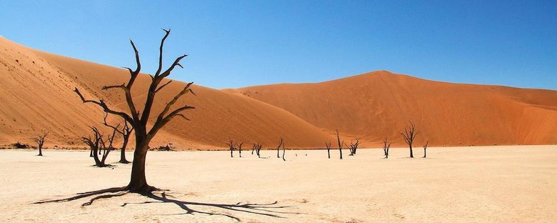 Пустыня Намиб. Фото: depositphotos