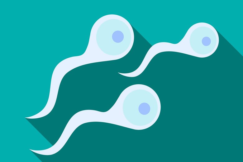 + донор спермы с фото – анкеты мужчин для зачатия, посмотреть каталог