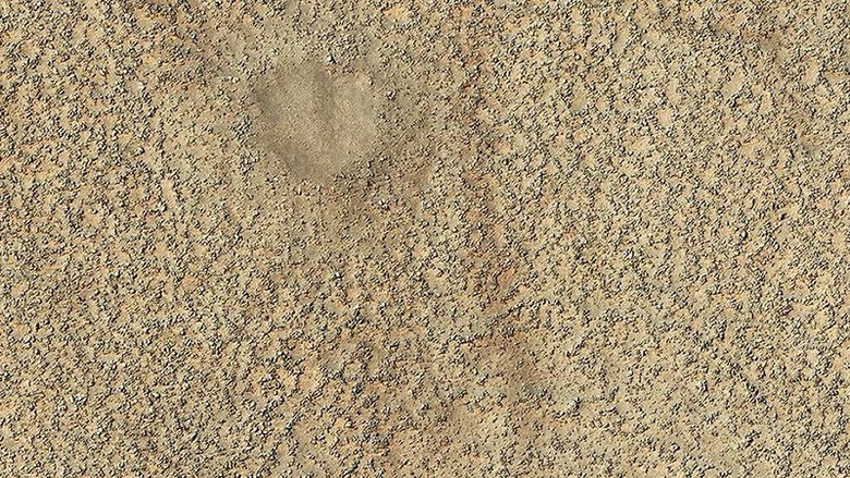 Каменный круг на Марсе. Фото: NASA