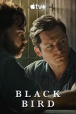 Постер Черная птица: 1 сезон