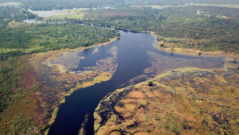 Вода реки Руки в бассейне Конго темная, как чай, из-за высокой концентрации растворенных органических веществ.