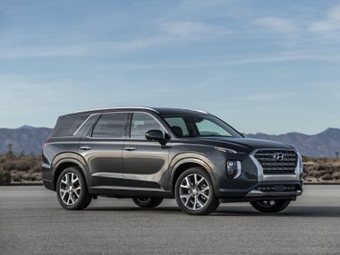 slide image for gallery: 25305 | Hyundai Palisade