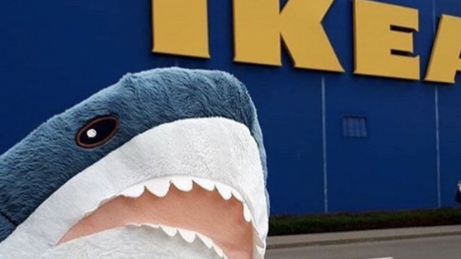 плюшевая акула на фоне магазина IKEA плюшевая акула на фоне магазина IKEA