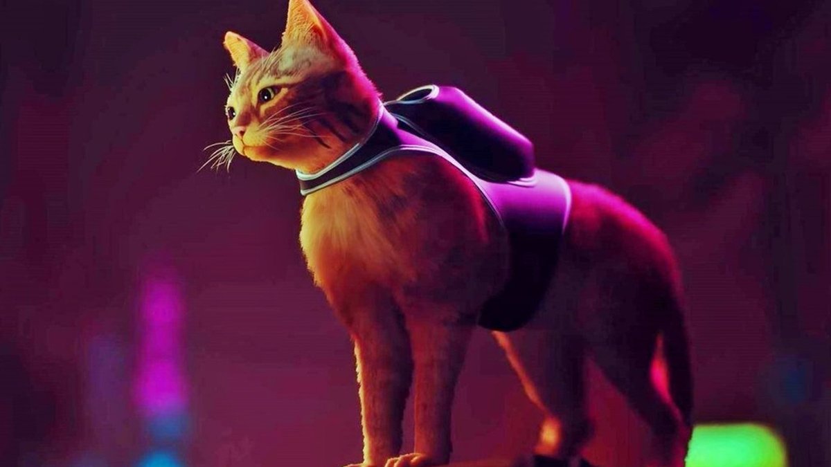 Стрей игра про кота