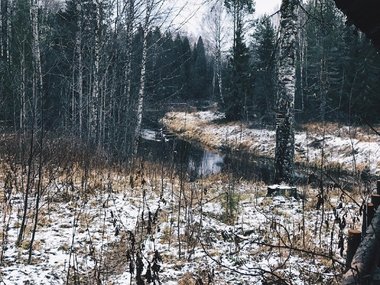 slide image for gallery: 27656 | Национальный парк «Койгородский»