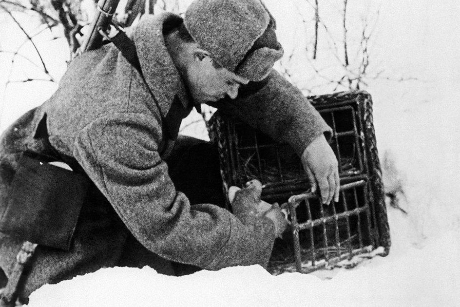 Солдат придерживает одной рукой клетку, а другой держит голубя Солдат придерживает одной рукой клетку, а другой держит голубя