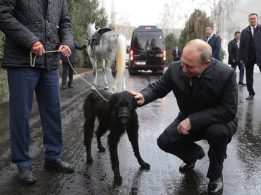 Питомцы Питомцы