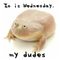 Мем "It is wednesday, my dudes"