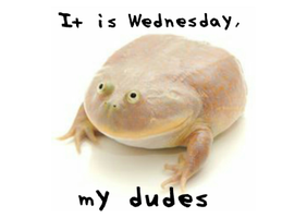 Мем "It is wednesday, my dudes"