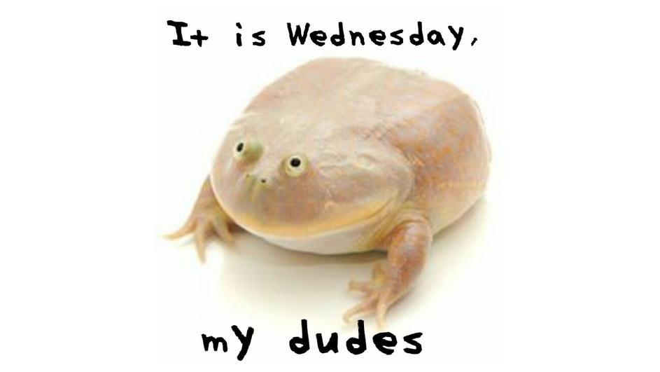 Мем "It is wednesday, my dudes"