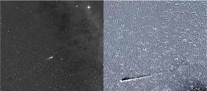 Снимки с кометой. Фото: ESA / NASA / NRL / SoloHI / Guillermo Stenborg