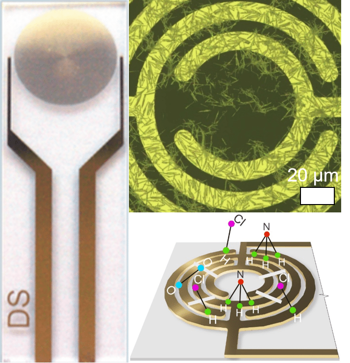 Верхнее слева — фото сенсора, где сам сенсор — это круг в диаметре. Справа — его оптическое изображение. Справа внизу — концепт работы сенсора.
