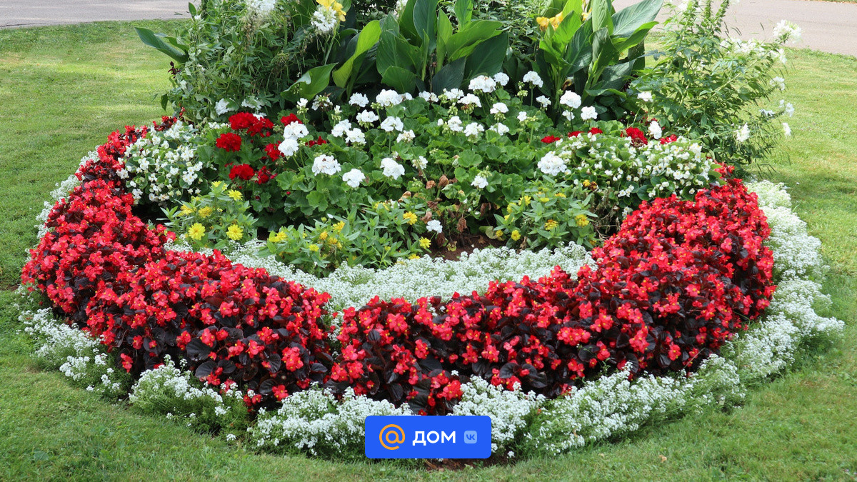 Круглая клумба в саду: советы по оформлению, идеи дизайна и готовые схемы(40 фото) - Дом Mail.ru