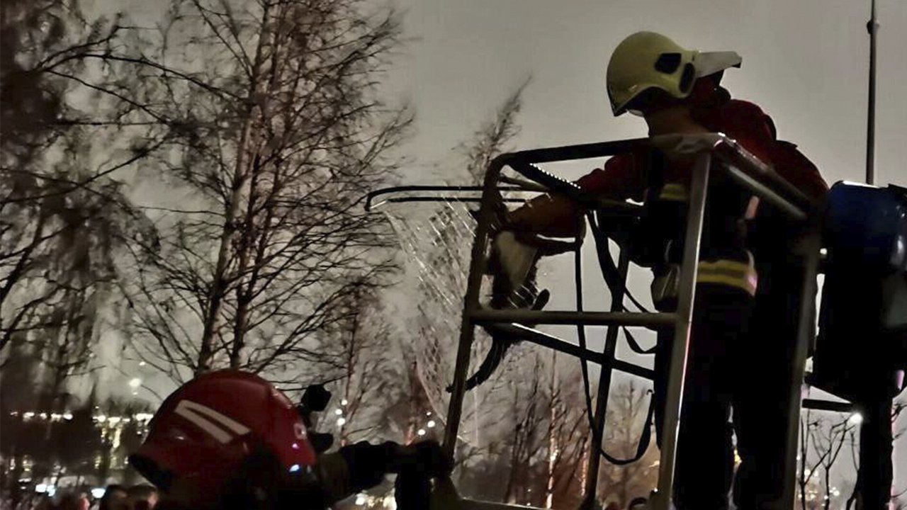 В парке Зарядье кот три дня умолял о помощи — его спасли