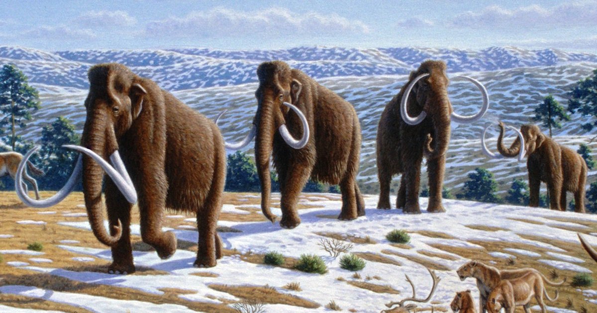 Сибирское «мамонтовое кладбище» раскрыло факты о прошлом людей и мегафауны