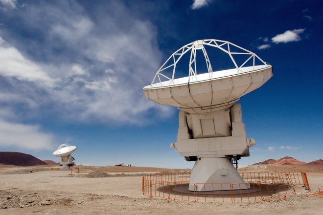 Alma