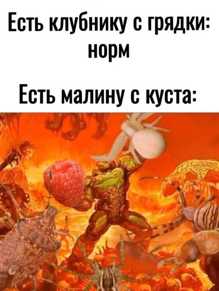 Это была битва не на жизнь, а на смерть (насекомых) Это была битва не на жизнь, а на смерть (насекомых)