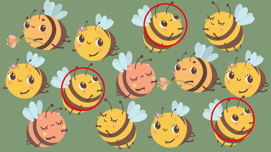 bee2 bee2