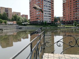 Снято на Huawei nova Y73