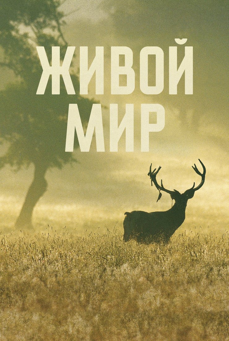 Живой мир: постер