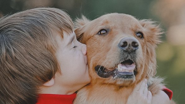 Как школа учит детей любить животных и зачем это нужно? Разбор «Питомцев»