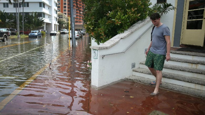 Наводнение в Майами. Фото: Джо Радле