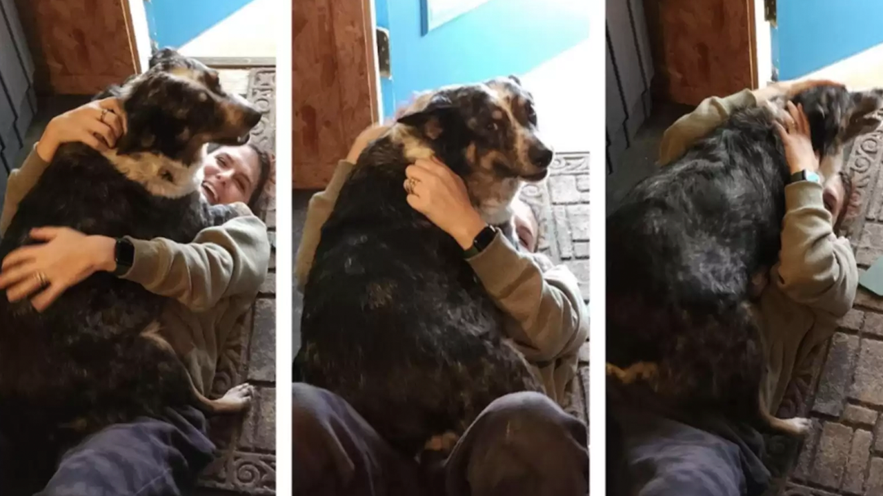 Винни оказалась доброй собакой, которая все время благодарила волонтеров за спасение