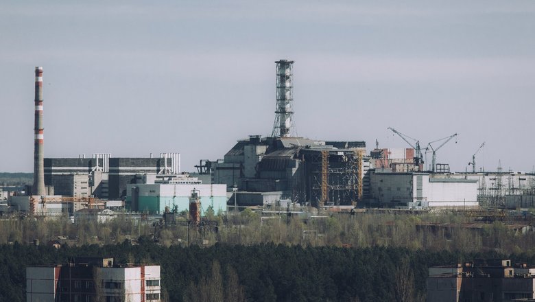 Ранее считалось, что кабаны заражены только из-за взрыва Чернобыльской АЭС.