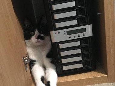 Стажер в IT-отделе.