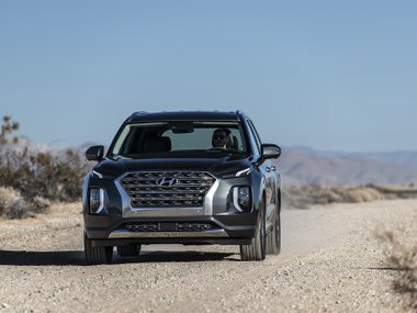 slide image for gallery: 25305 | Hyundai Palisade