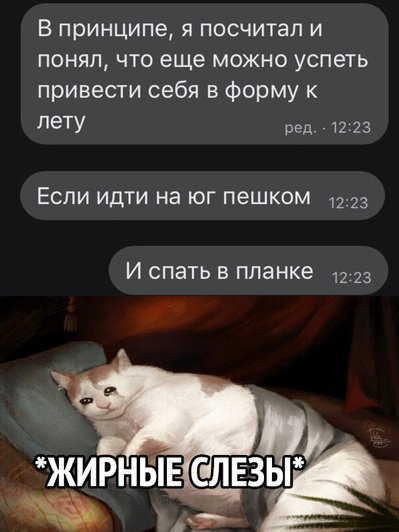 Когда попросил GPT-чат подготовить к лету за 2 дня Когда попросил GPT-чат подготовить к лету за 2 дня
