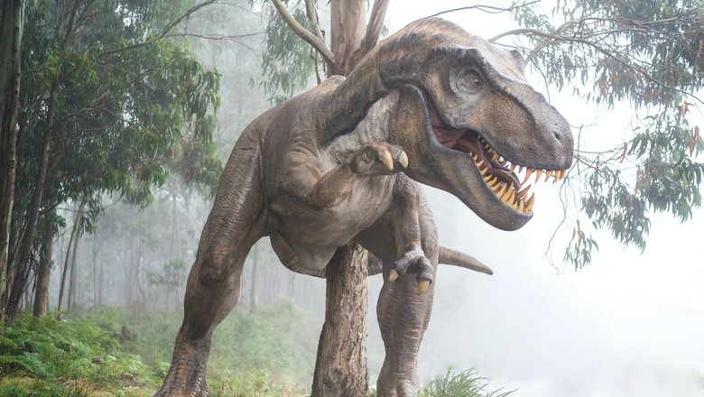 Динозавры господствовали на Земле около 186 млн лет.